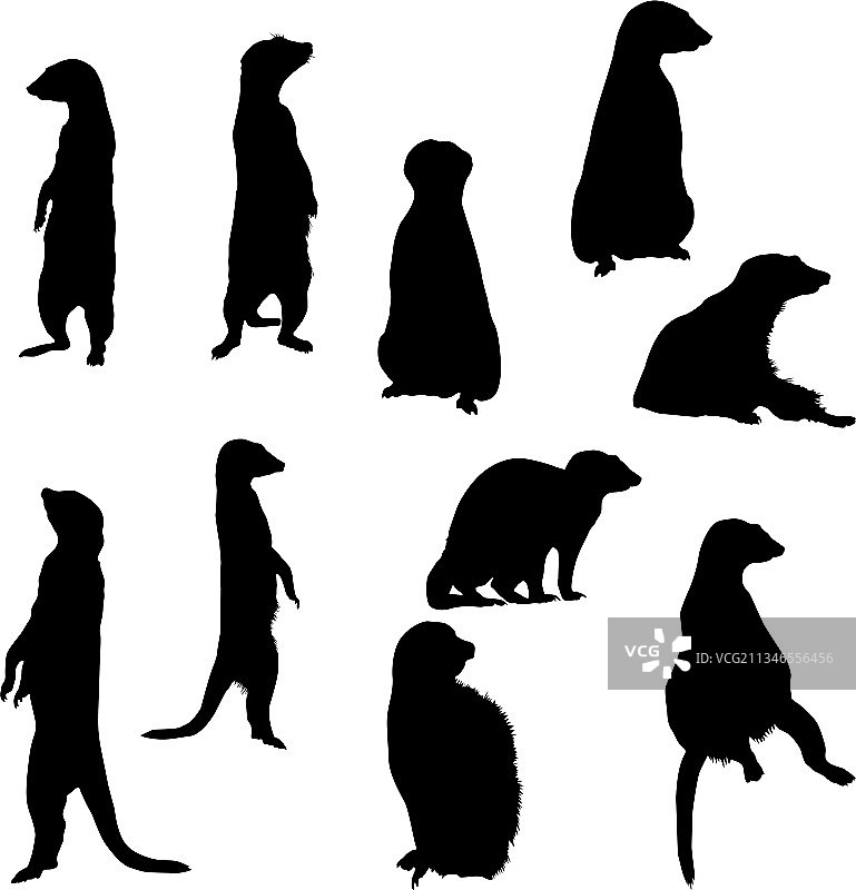 猫鼬剪影EPS10图片素材