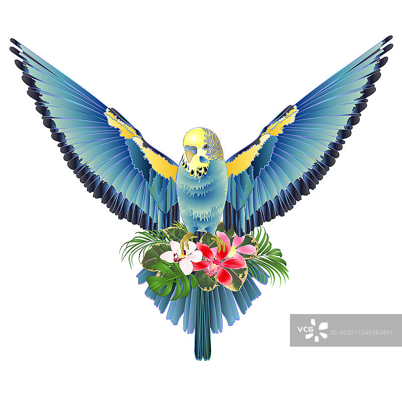 蓝色小鸟图片素材