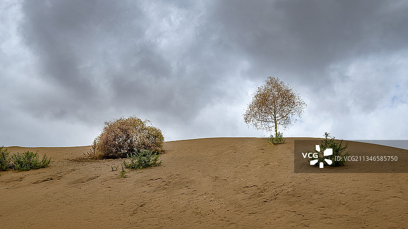 内蒙古银肯塔拉沙漠秋季景观图片素材