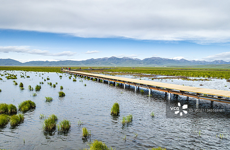四川若尔盖花湖图片素材