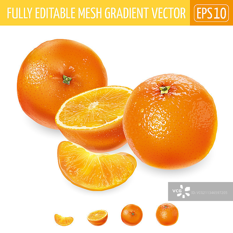 白色背景上的完整和切片橙子图片素材