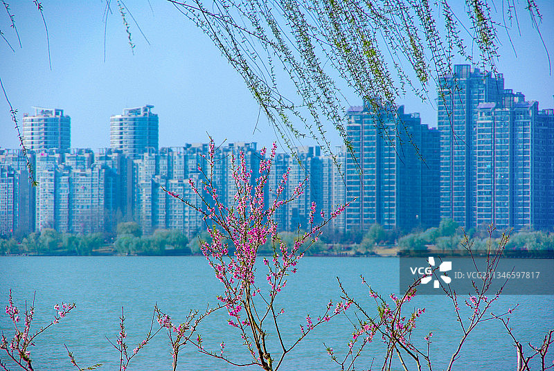 湖畔桃花+江苏省徐州市泉山区云龙湖风景区图片素材