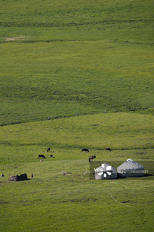 蒙古包图片素材