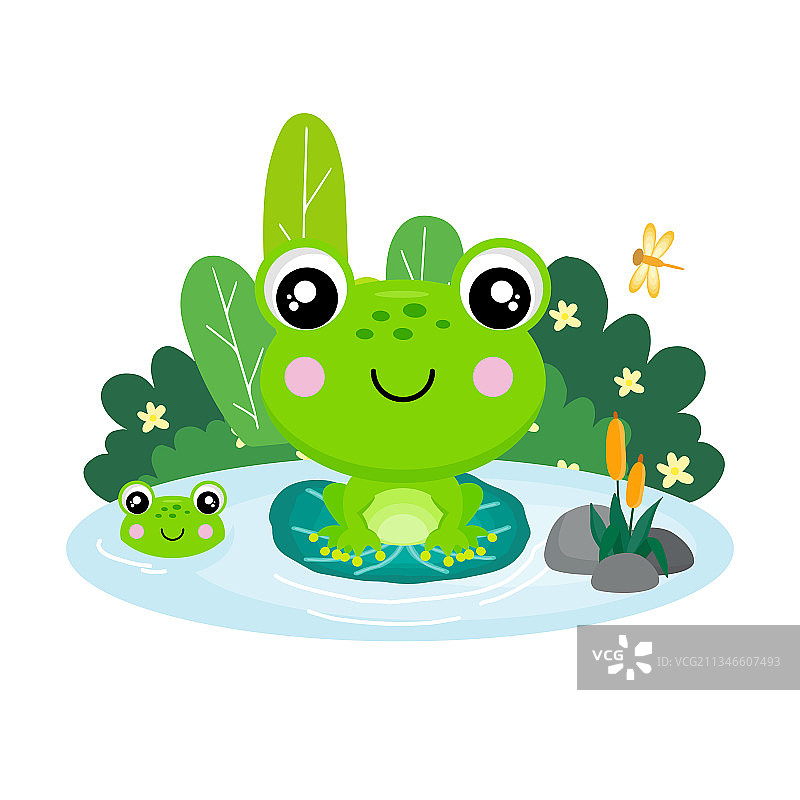 可爱的青蛙坐在池塘里的叶子上图片素材