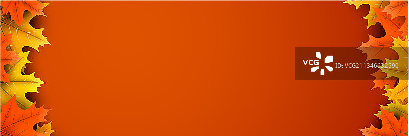 秋季背景彩色枫叶图片素材