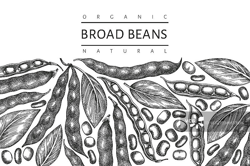 手绘蚕豆设计模板图片素材