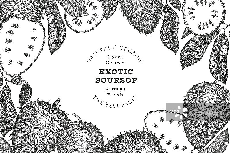手绘素描风格的soursop水果横幅图片素材
