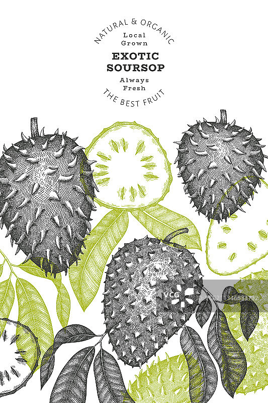 手绘素描风格的soursop水果横幅图片素材