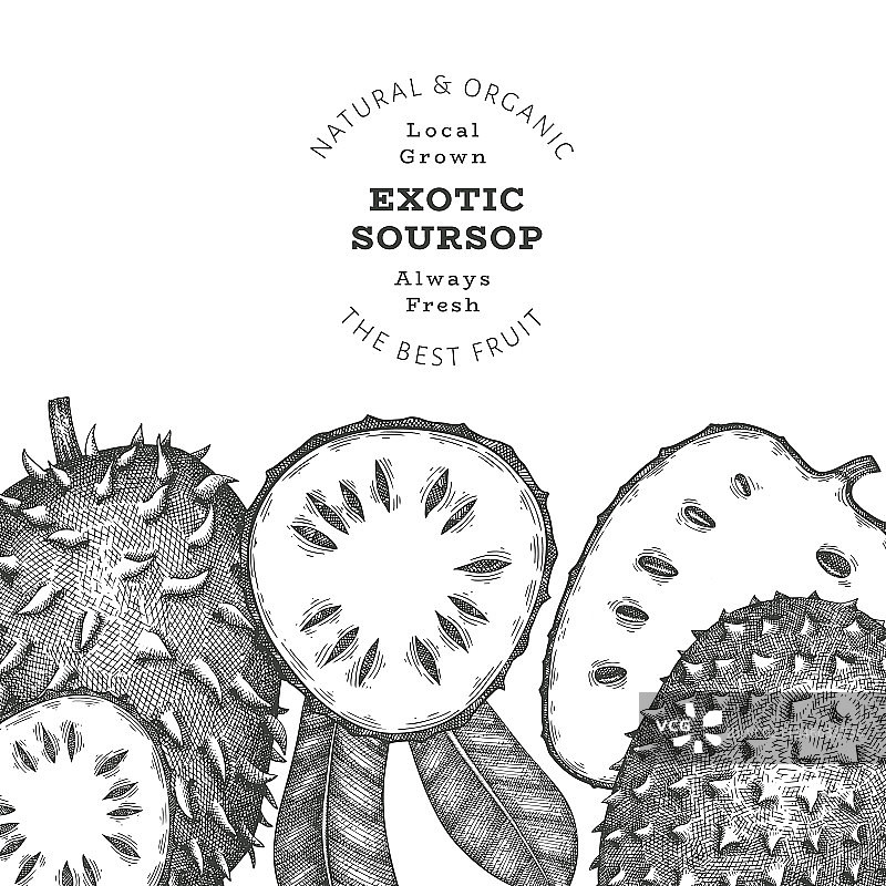 手绘素描风格的soursop水果横幅图片素材