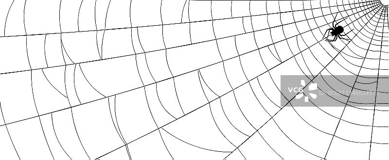 带蜘蛛的蜘蛛网图片素材