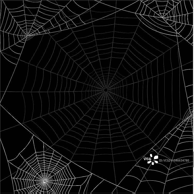 黑色背景白色蜘蛛网和阴影图片素材