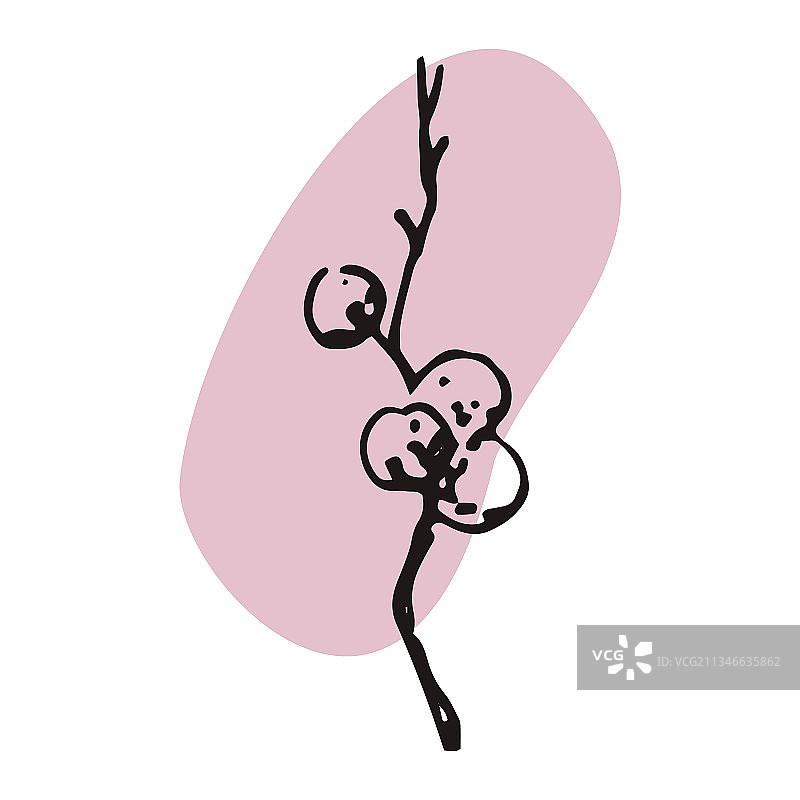 手绘植物与钢笔图片素材