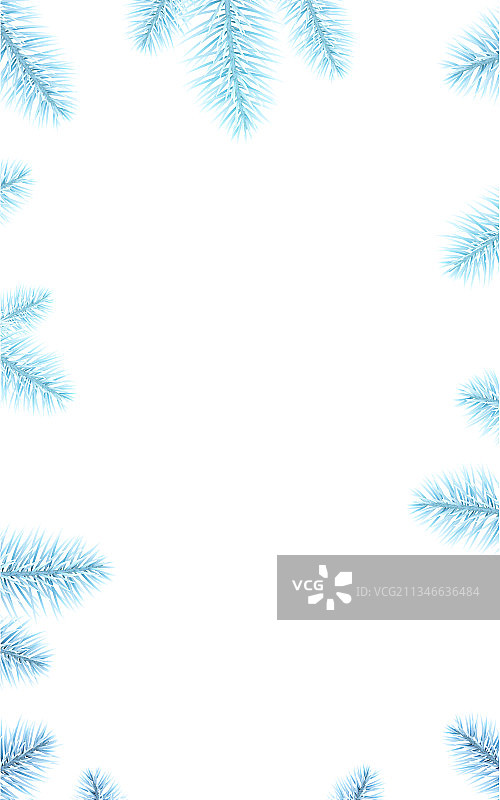 浅蓝色云杉树枝方形框架图片素材