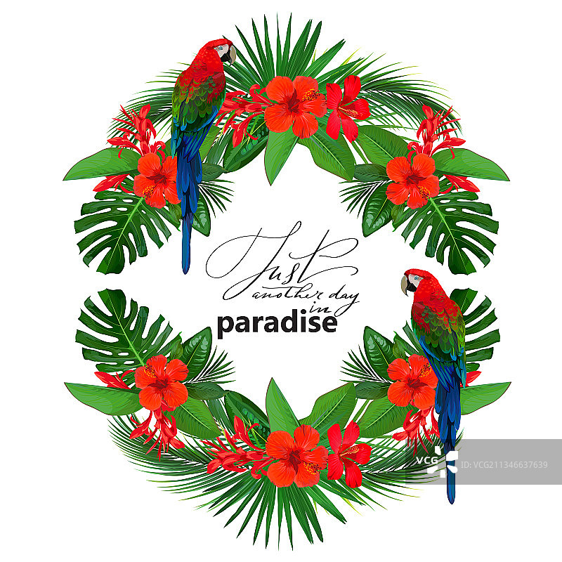 红色热带花卉和棕榈树明亮边框图片素材