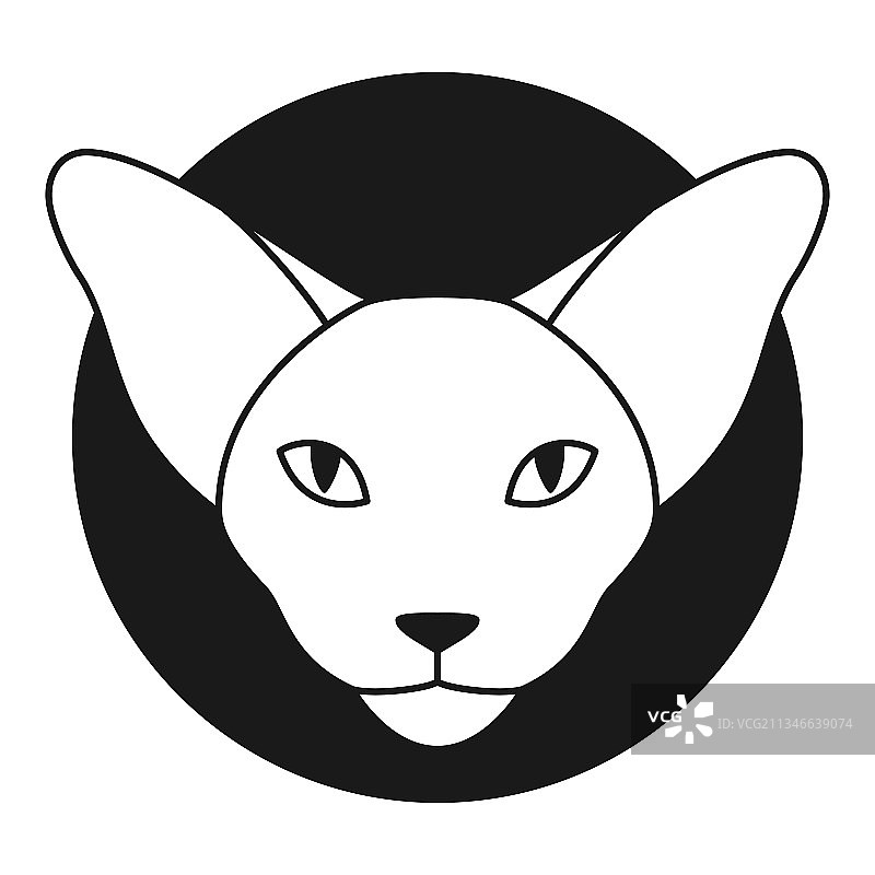 东方猫标志或图标东方短毛猫图片素材