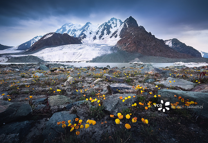 博格达峰下的花园图片素材