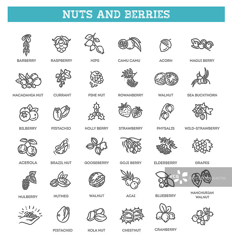 坚果和浆果符号图片素材
