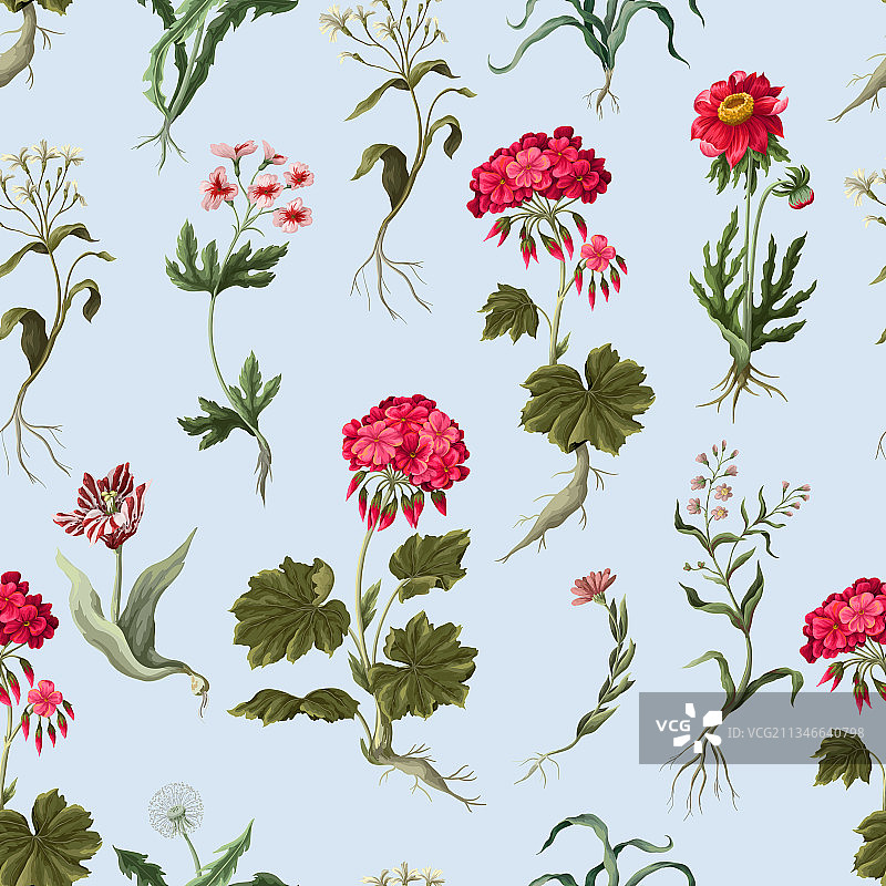 天竺葵和野花无缝图案图片素材