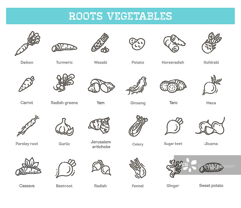 根类蔬菜细线图标集图片素材