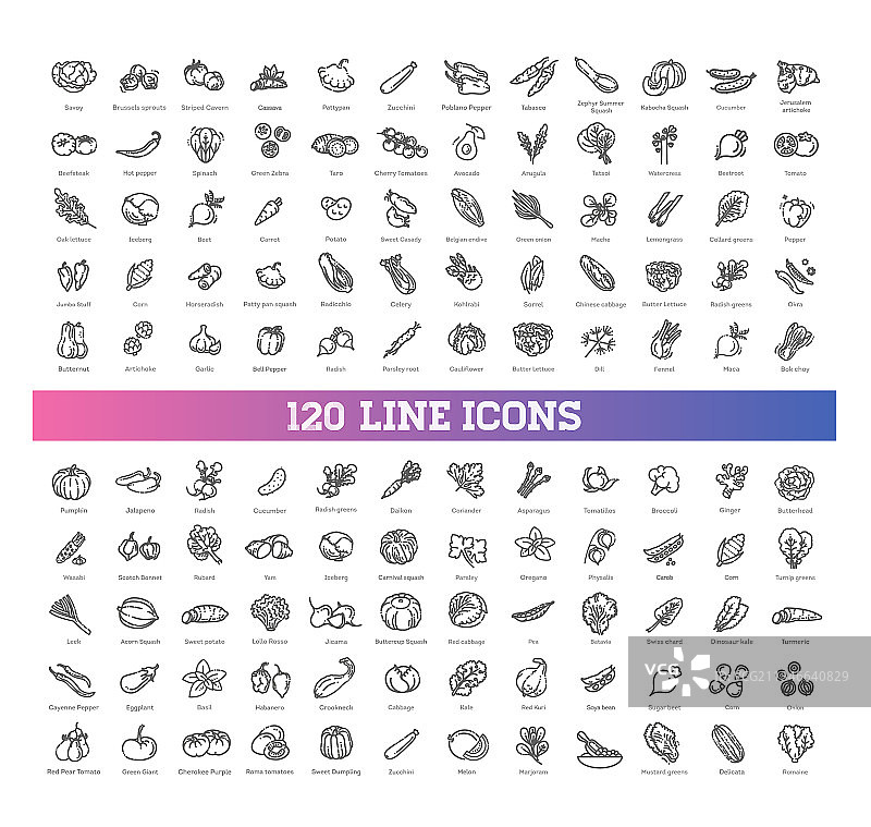 基本蔬菜大合集图片素材