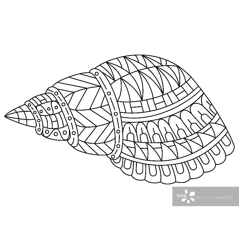 zentangle风格手绘贝壳图片素材