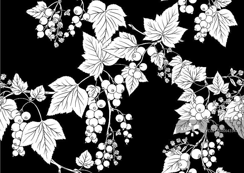 成熟黑醋栗无缝图案图片素材