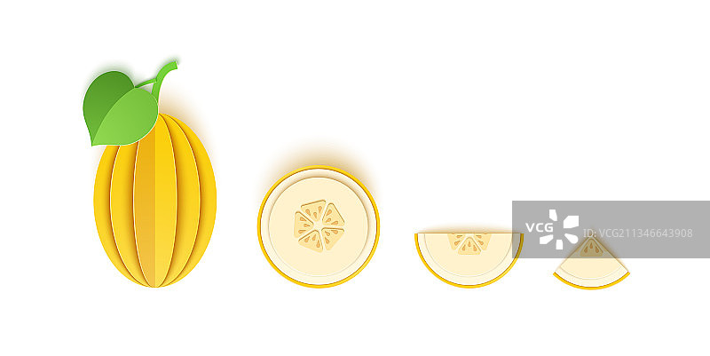 甜瓜浆果切片纸柑橘水果套装图片素材