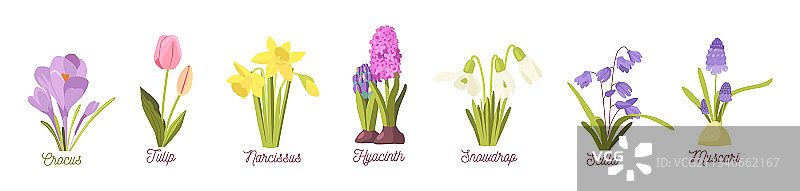 春日花园森林花卉组合图片素材