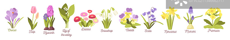 盛开的春季花园或森林鲜花图片素材