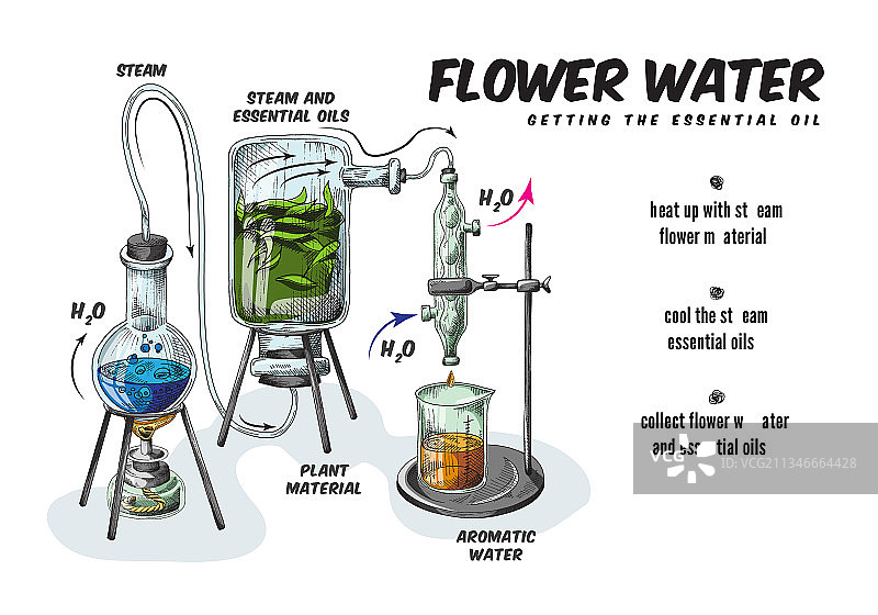 芳香精油生产流程图片素材
