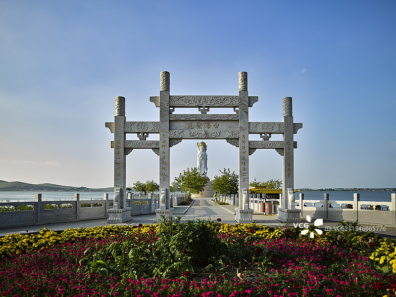 20180730中国 河北省 张家口市 沽源县 沽源天鹅图片素材