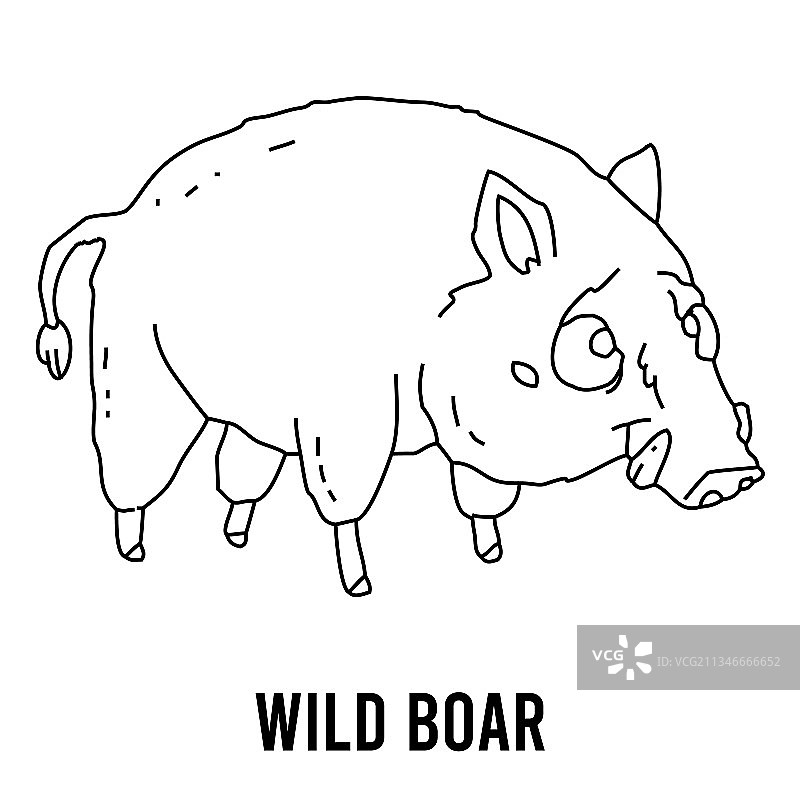 学龄前儿童的野生野猪着色页图片素材