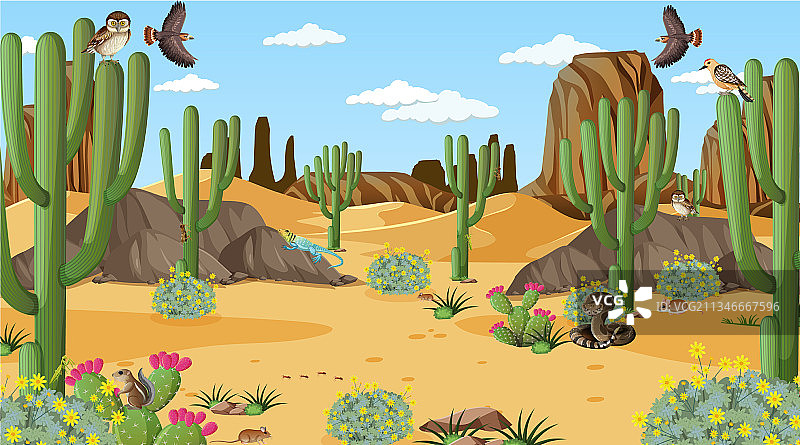 白天场景的沙漠森林景观图片素材