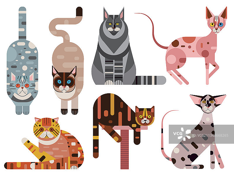 流行的猫品种扁平几何图案图片素材