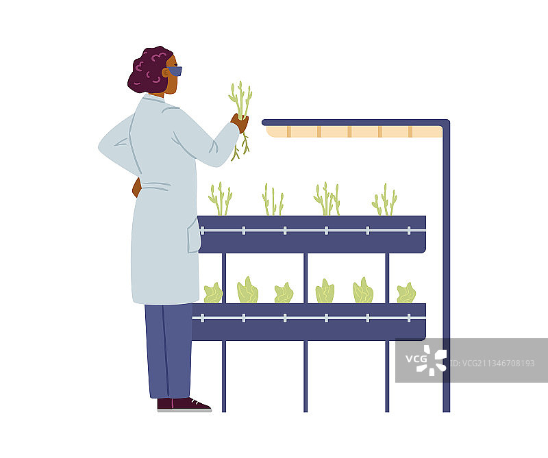 实验室科学家观察植物生长扁平图图片素材