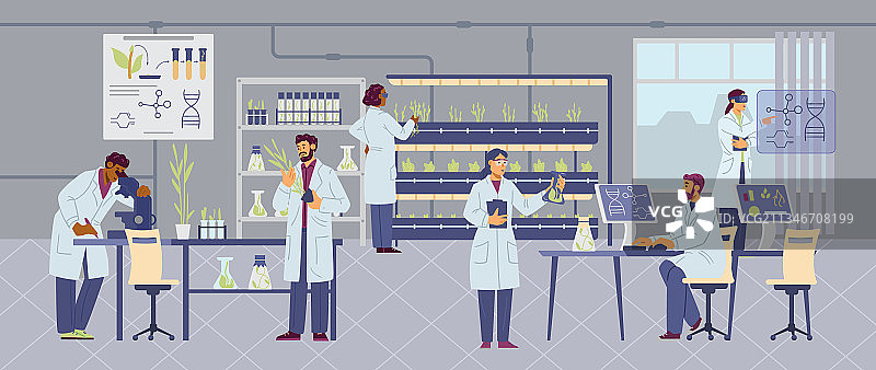 实验室科学家和生物学家检查图片素材