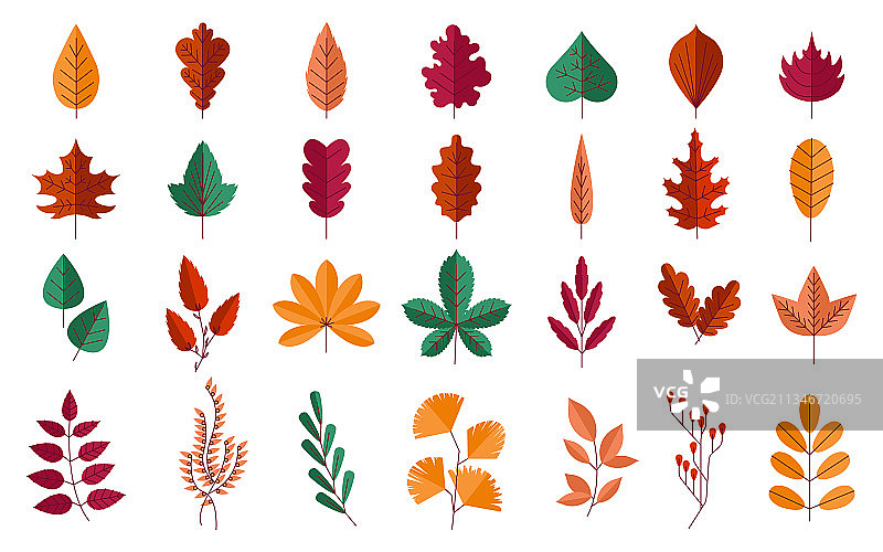 秋叶森林的红黄叶图片素材