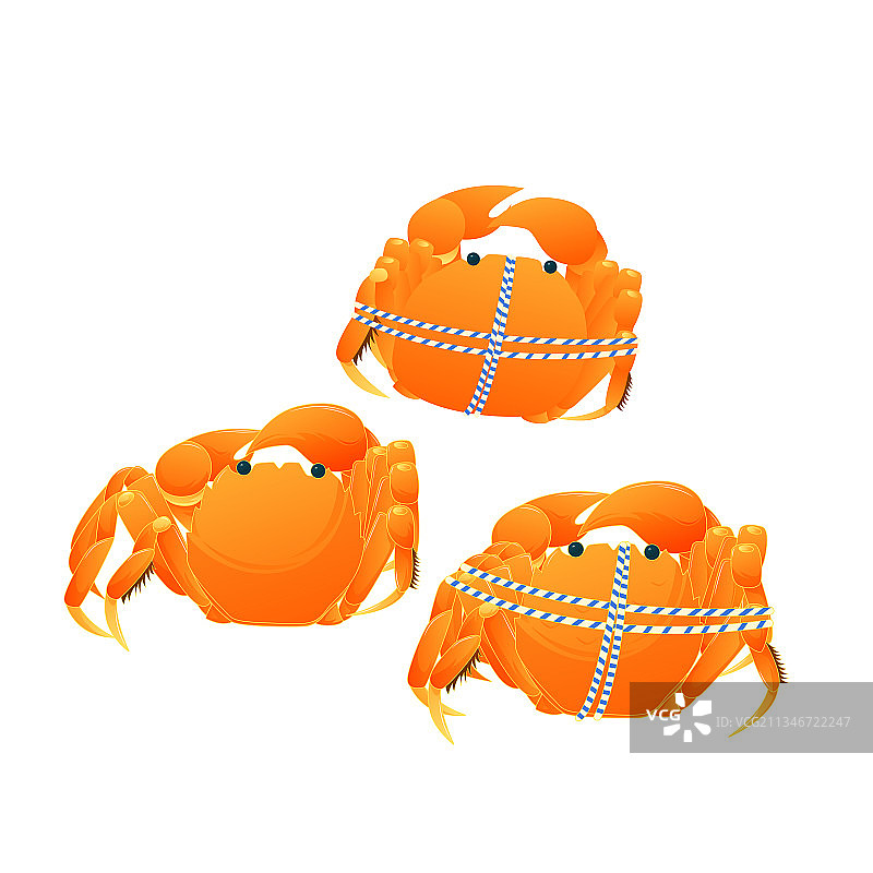 螃蟹矢量插画元素图片素材