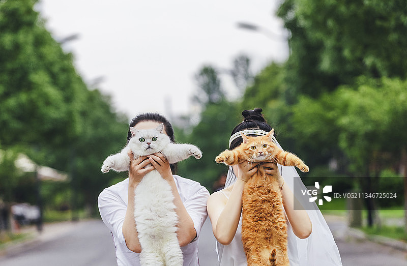 两人抱着两只小猫图片素材