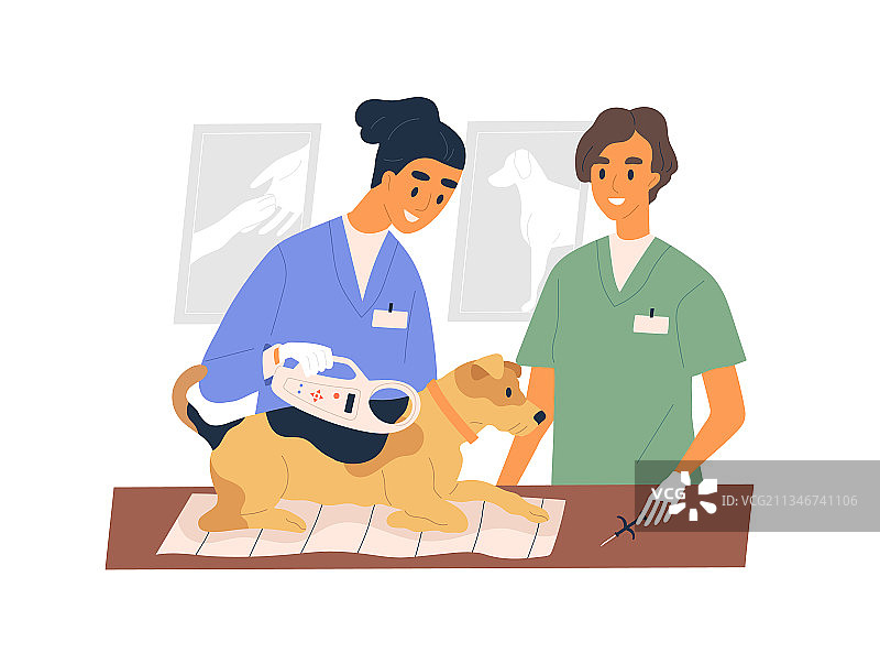 兽医植入电子芯片图片素材