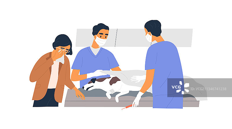 无法治愈的狗的安乐死图片素材