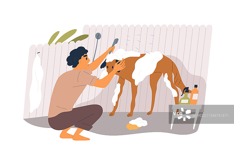 宠物主人用肥皂和洗发水给狗洗澡图片素材