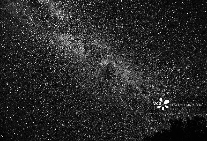 夜空中星星的低角度景观，位于加拿大安大略省斯库戈格湖图片素材