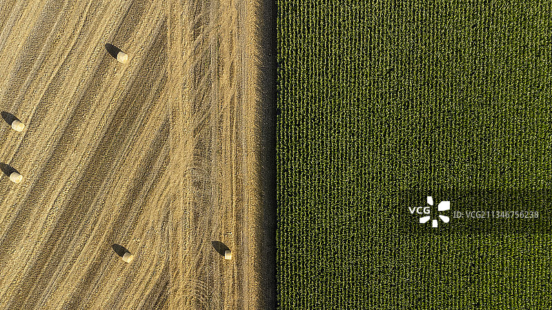 德国阿尔夫豪森农业田地航拍景观图片素材