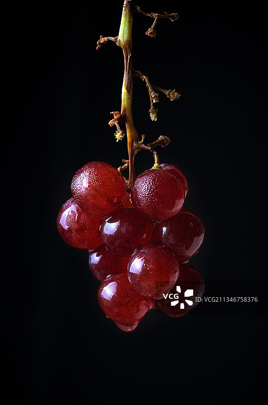 黑色背景下的红色葡萄特写图片素材