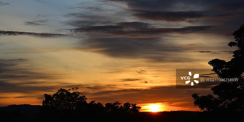 日落时分树木剪影的低角度视图，印度喀拉拉邦图片素材