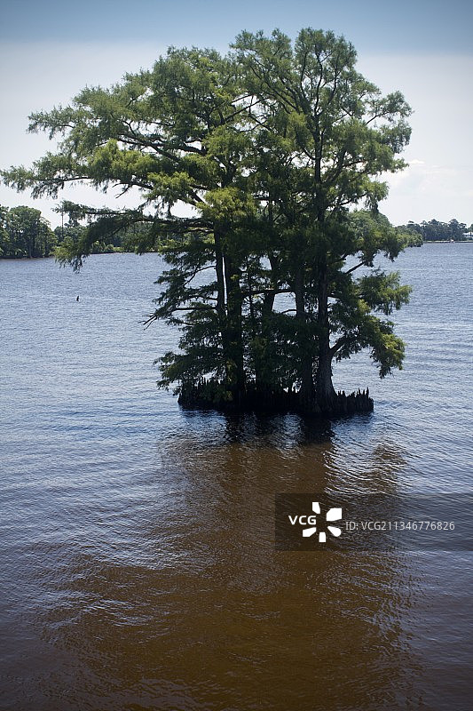 湖边的树木与天空图片素材