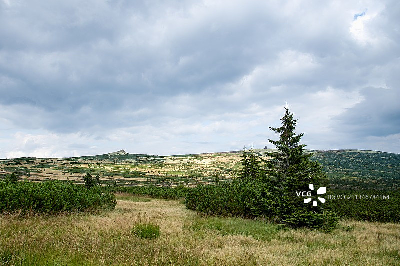 捷克共和国田野风光图片素材