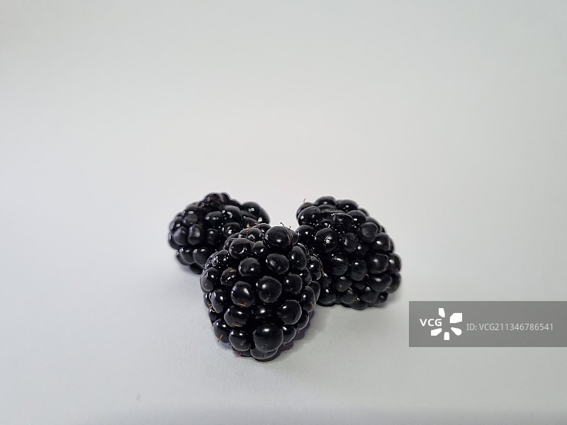 白底上的黑莓特写图片素材