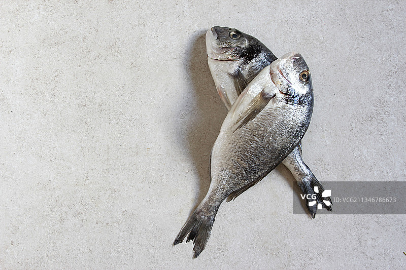 餐桌上的海鲷鱼特写图片素材